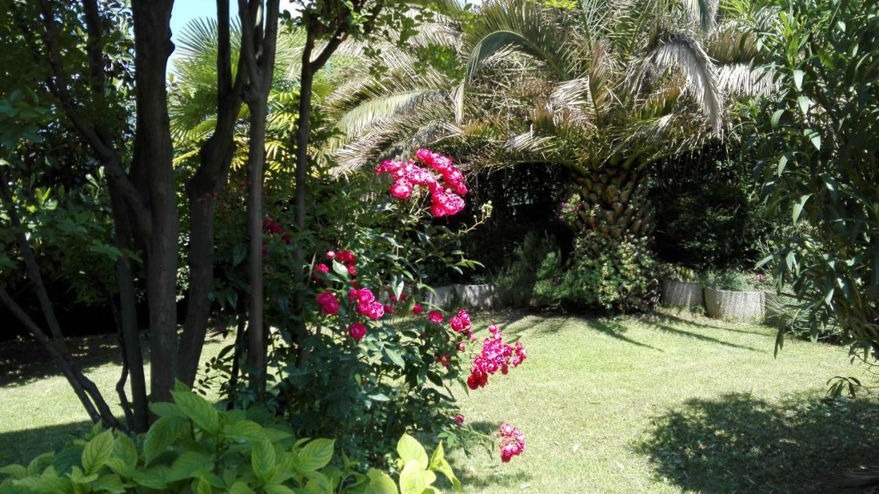Appartamento Giardino Sugli Ulivi Рива дел Гарда Екстериор снимка