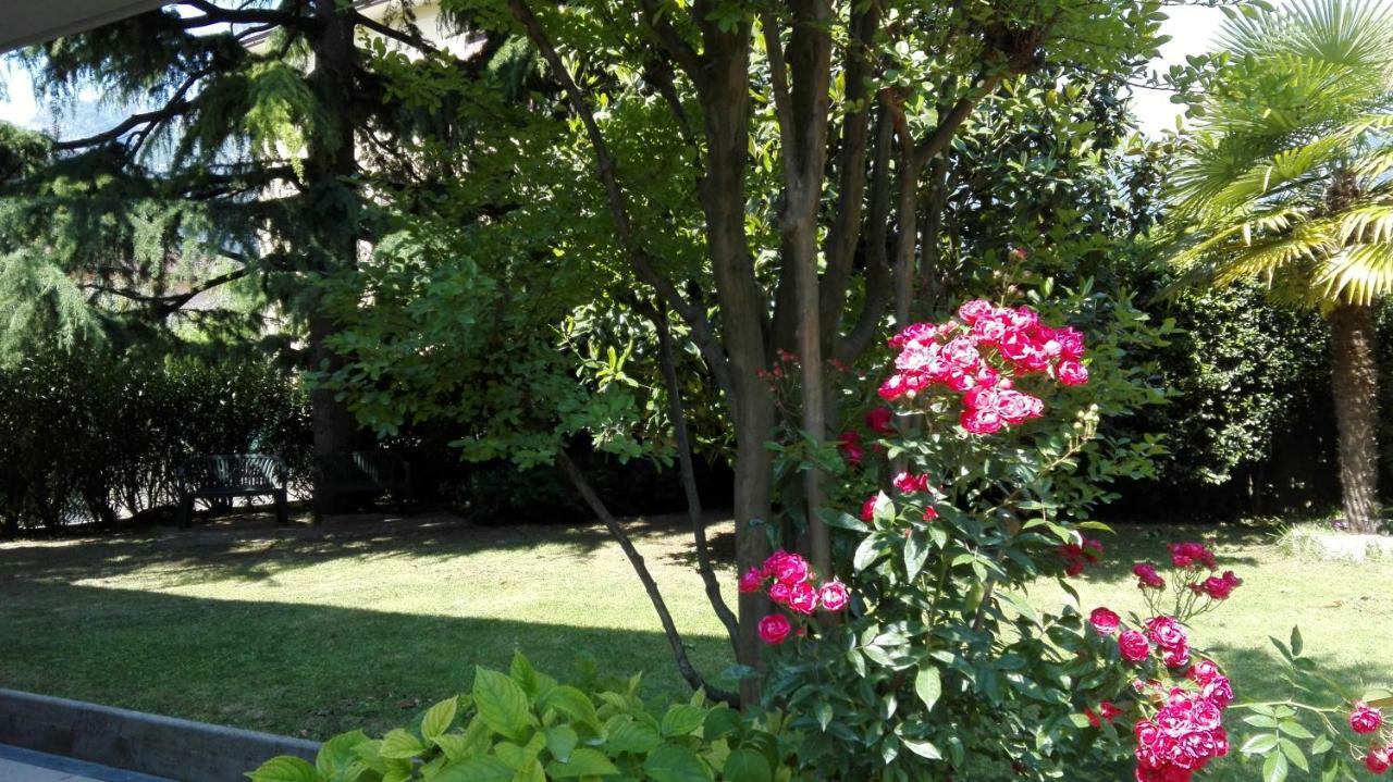 Appartamento Giardino Sugli Ulivi Рива дел Гарда Екстериор снимка
