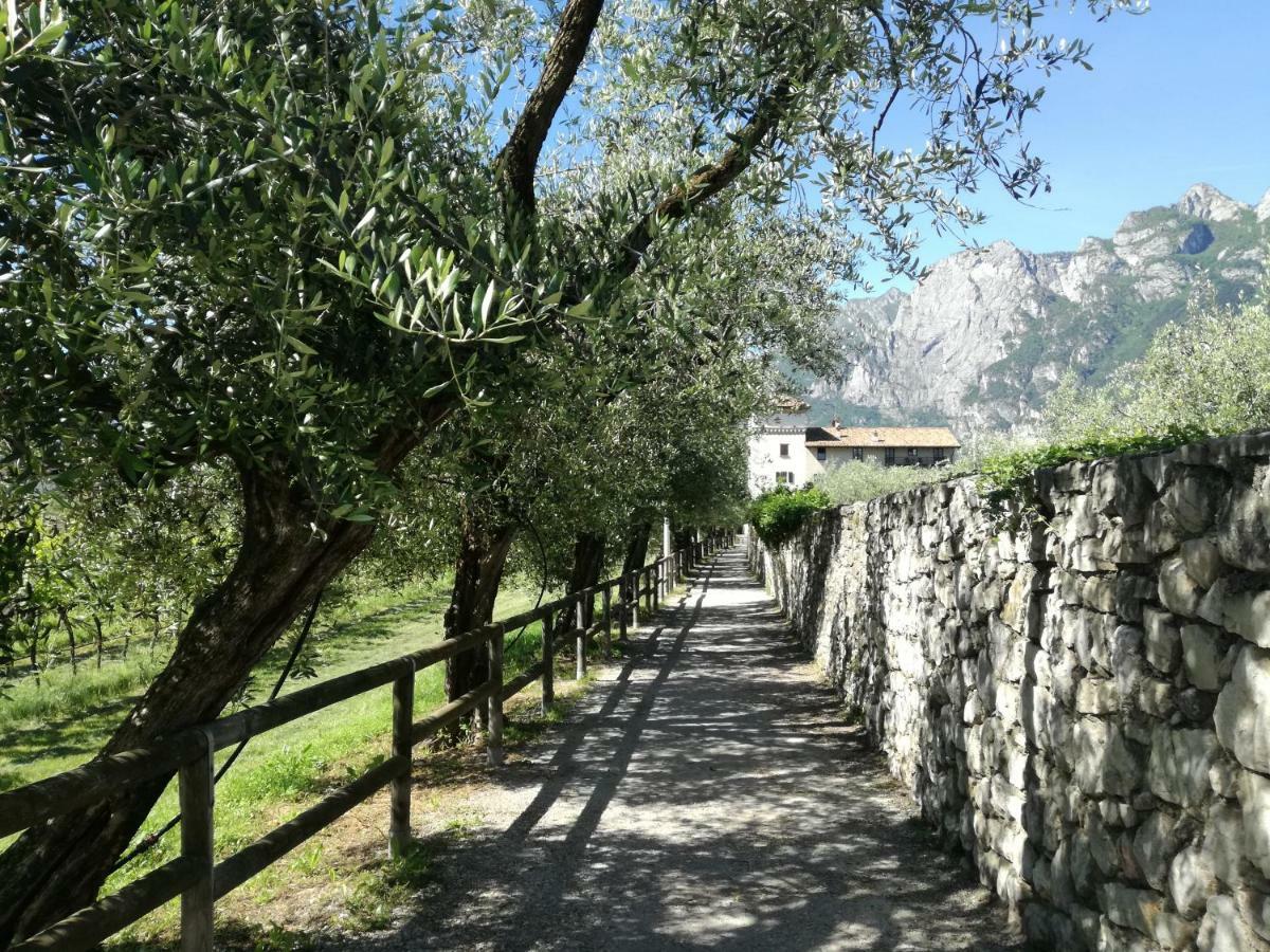 Appartamento Giardino Sugli Ulivi Рива дел Гарда Екстериор снимка